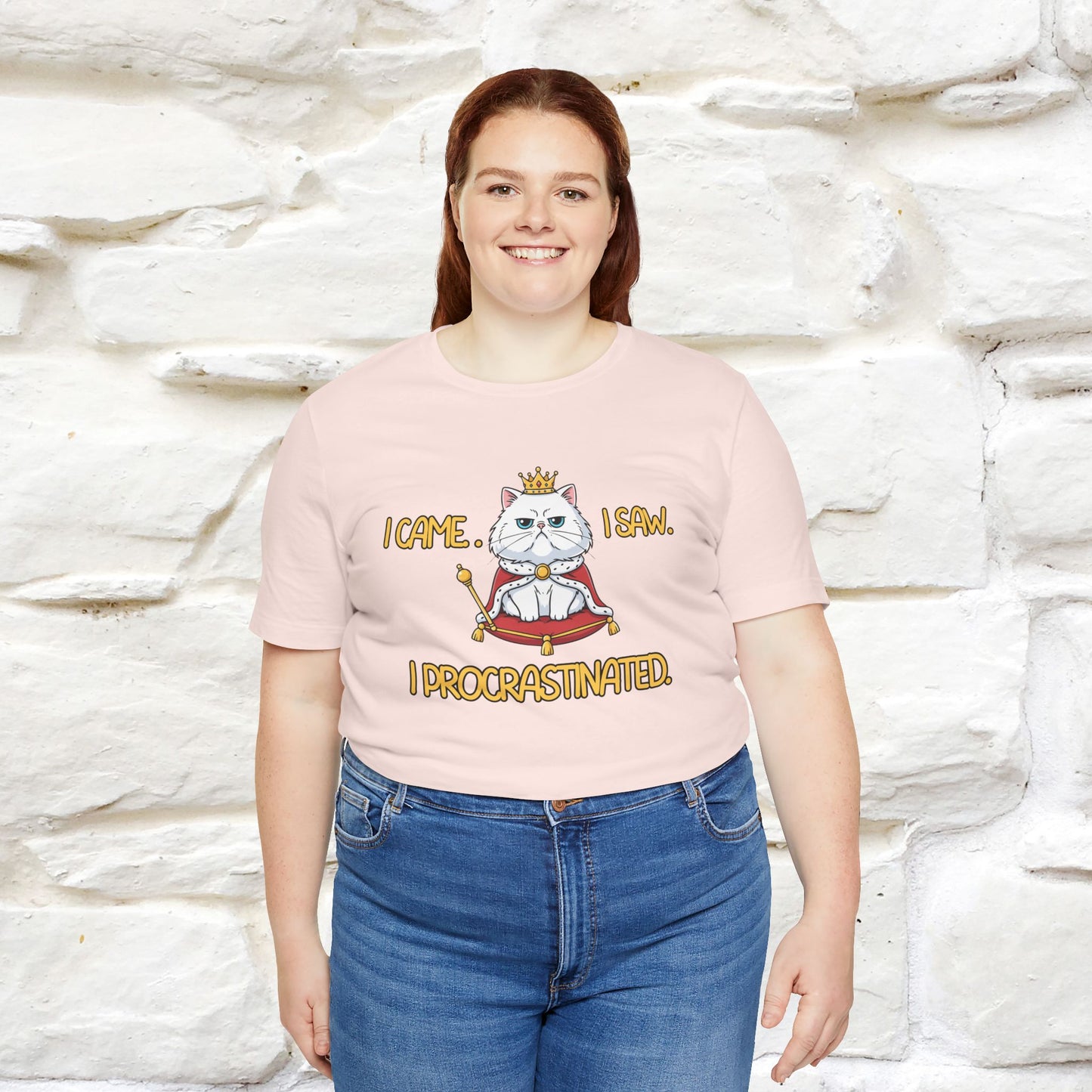 ''I came. I saw. I procrastinated.''| Funny T-Shirt | Nunu&Miao Studio