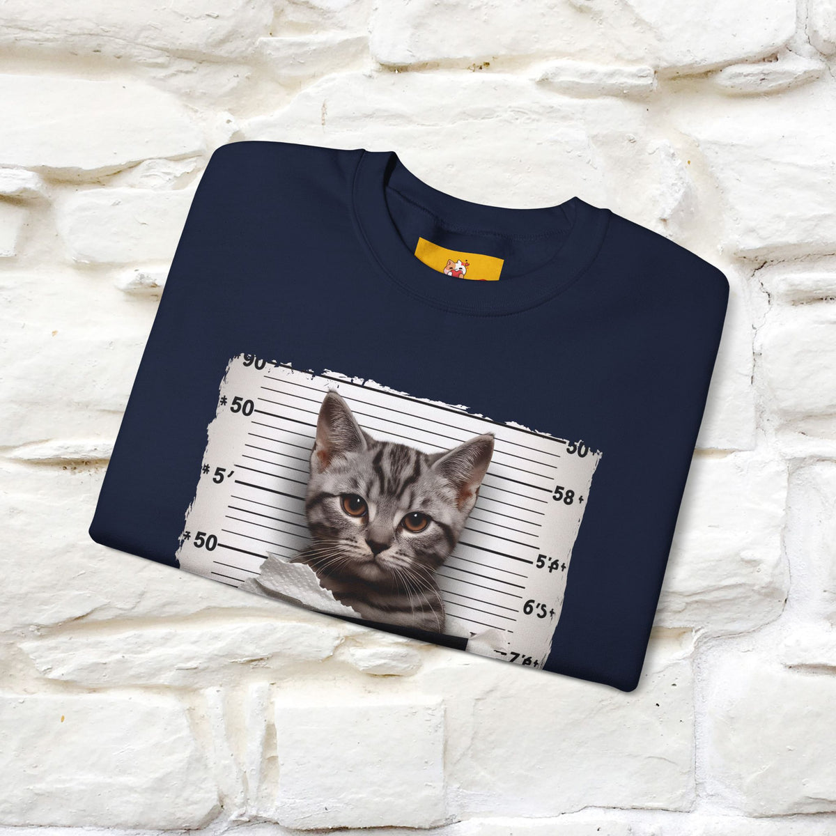 "I Tore The Toilet Paper.'' |Cat Sweatshirt | Nunu&Miao Studio