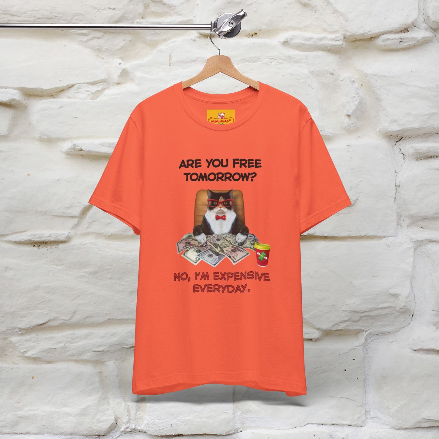 “Are You Fee Tomorrow?” | Cat T-Shirt | Nunu&Miao Studio