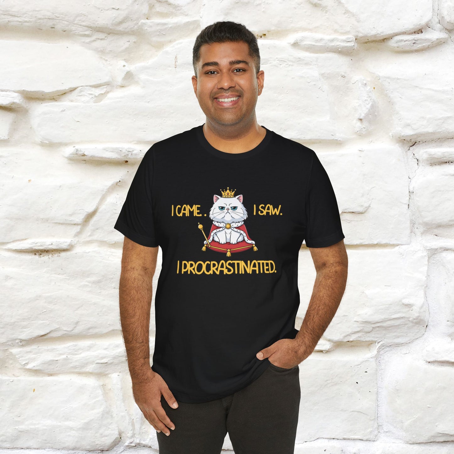 ''I came. I saw. I procrastinated.''| Funny T-Shirt | Nunu&Miao Studio