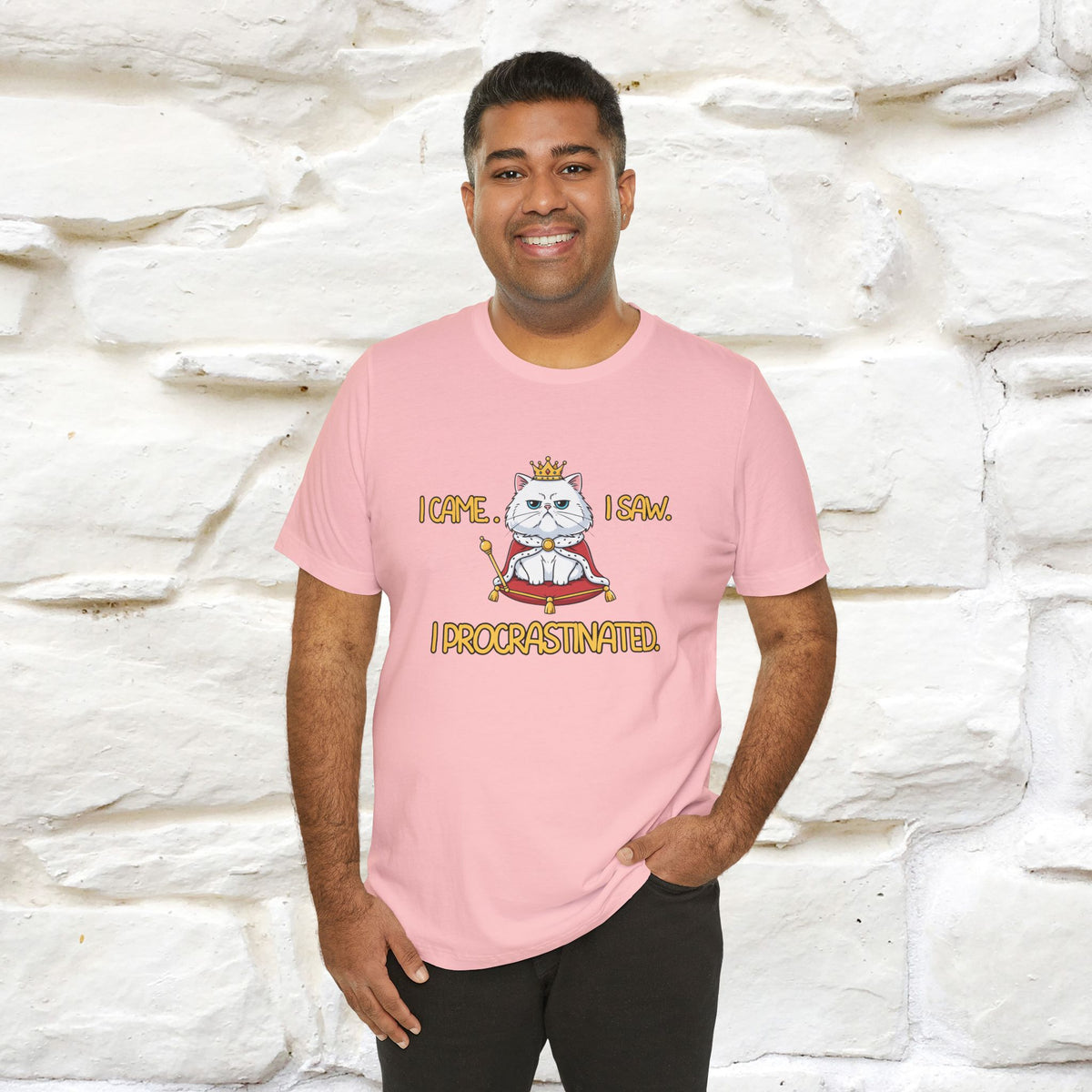 ''“I came. I saw. I procrastinated.''| Funny T-Shirt | Nunu&Miao Studio