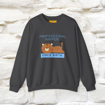 ''Professional Napper Since Birth'' |Cat Sweatshirt | Nunu&Miao Studio