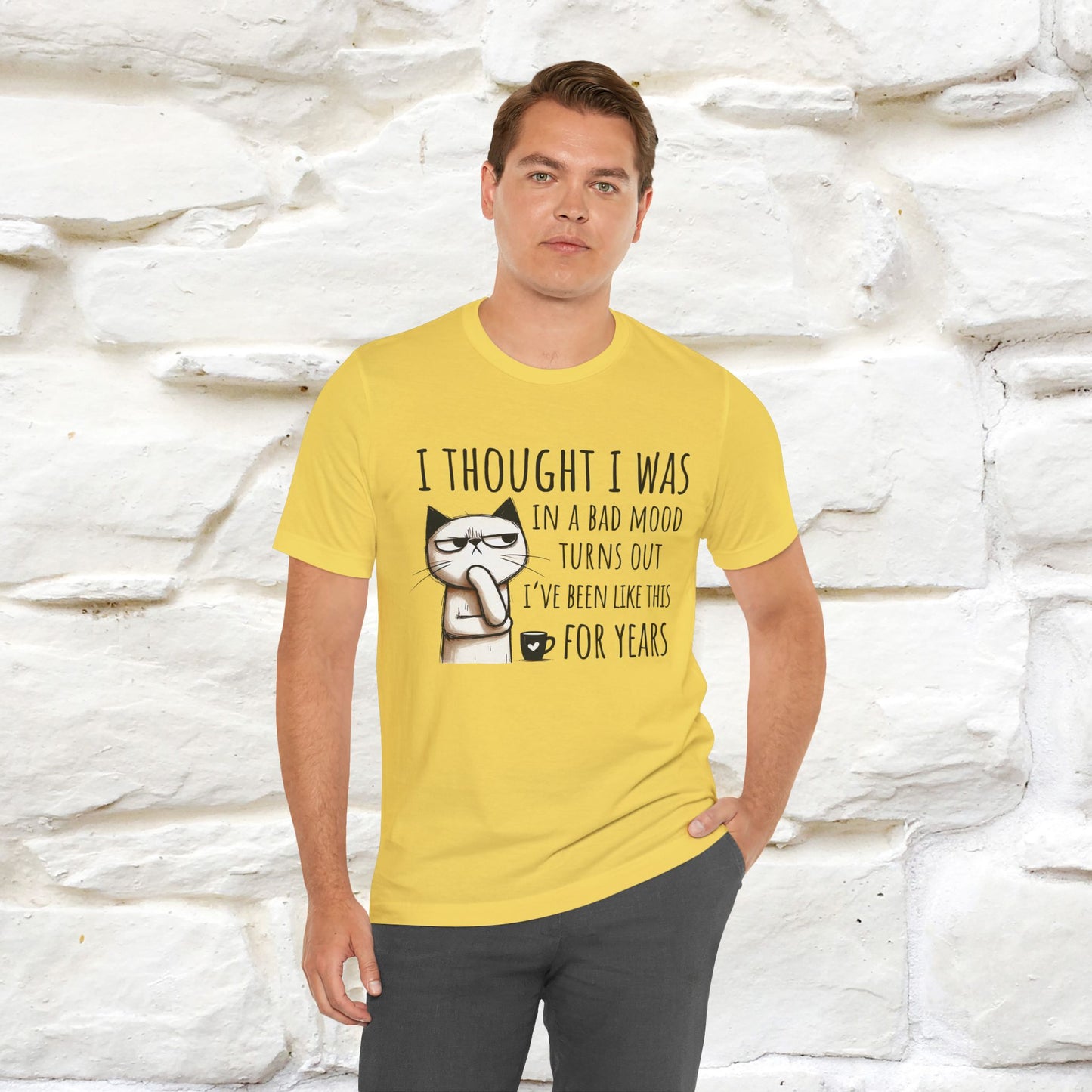 "I Thought I was In A Bad Mood.. " Cat  T-shirt |Nunu&Miao Studio - Nunu&Miao Studio