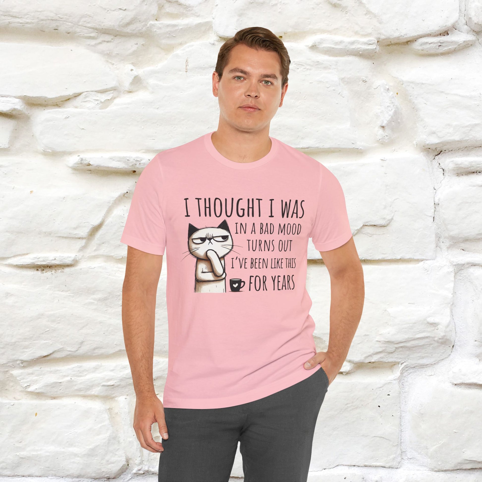 "I Thought I was In A Bad Mood.. " Cat  T-shirt |Nunu&Miao Studio - Nunu&Miao Studio