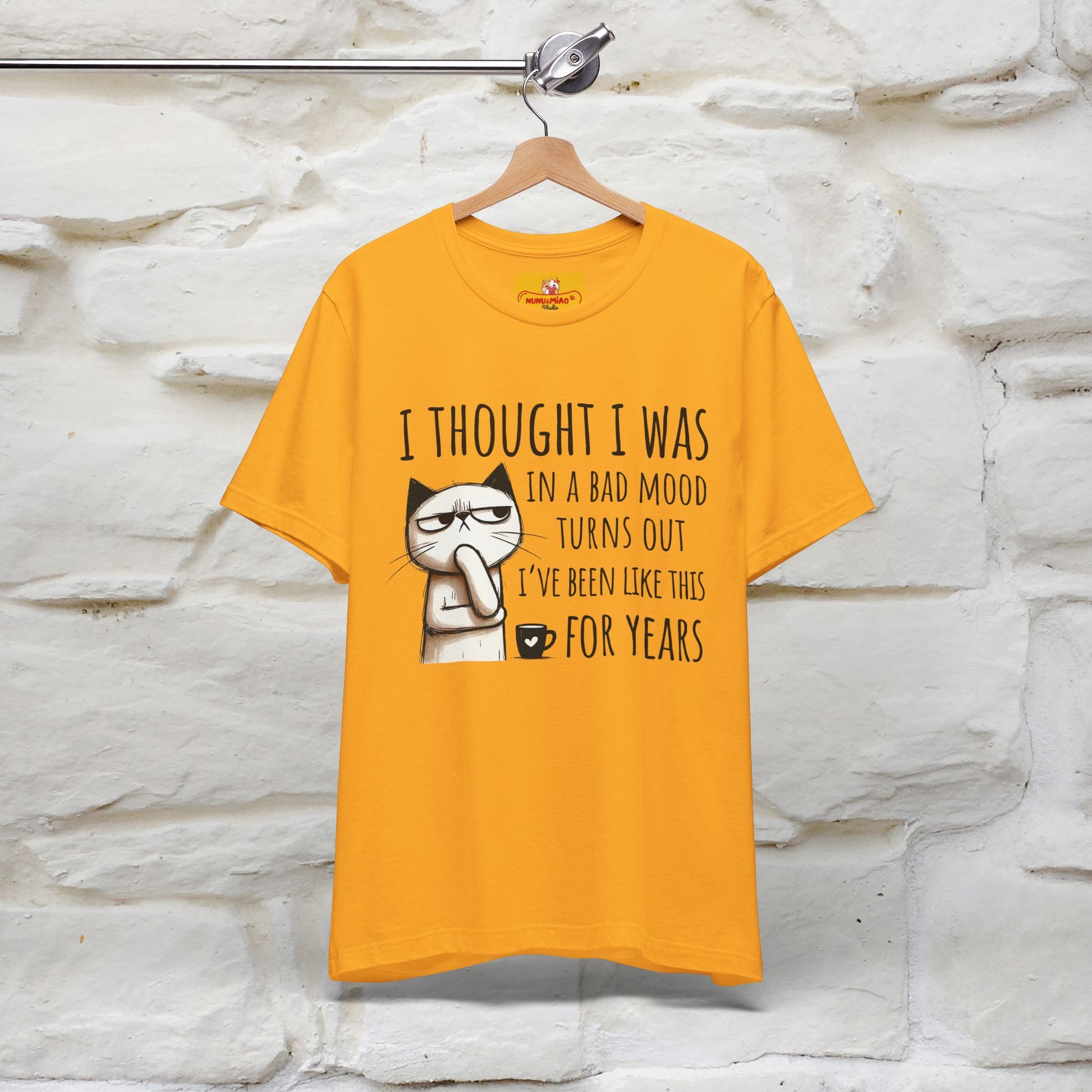 "I Thought I was In A Bad Mood.. " Cat  T-shirt |Nunu&Miao Studio - Nunu&Miao Studio