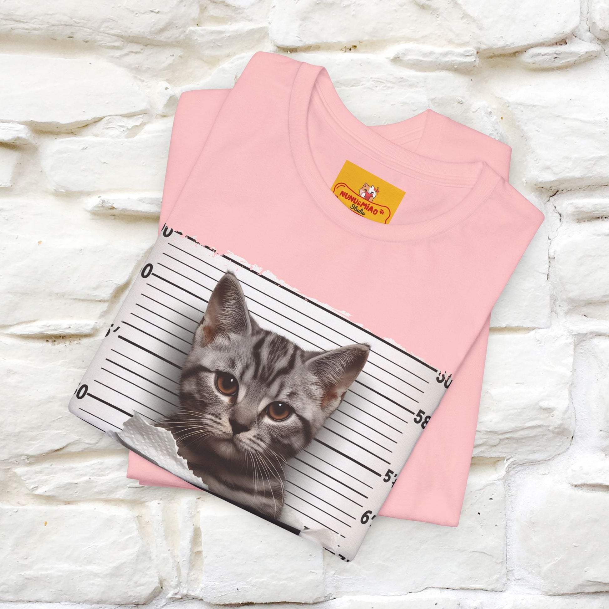 ''I Tore The Toilet Paper'' | Funny Cat T-Shirt | Nunu&Miao Studio - Nunu&Miao Studio