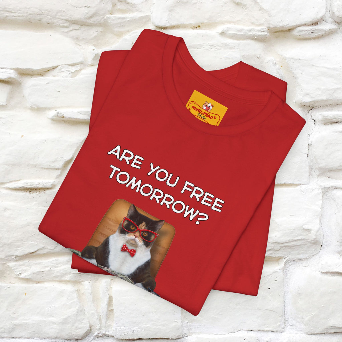 “Are You Fee Tomorrow?” | Cat T-Shirt | Nunu&Miao Studio
