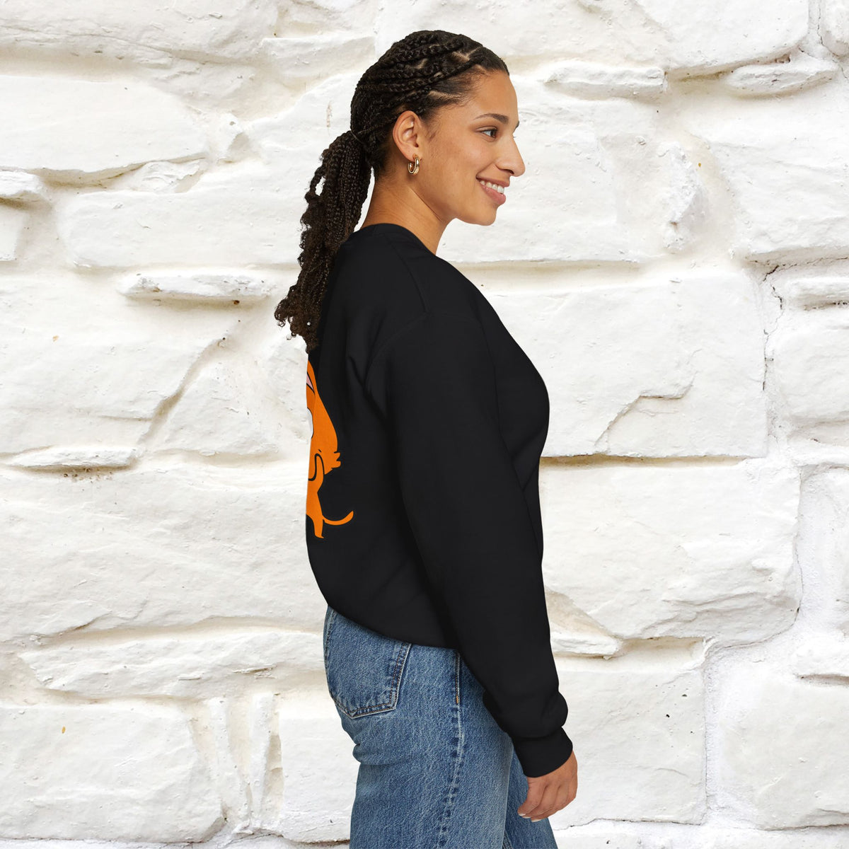 "OMG'' |Cat Sweatshirt | Nunu&Miao Studio