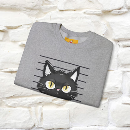 ''Bad Cattitude'' |Cat Sweatshirt | Nunu&Miao Studio