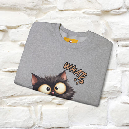"What'' |Cat Sweatshirt | Nunu&Miao Studio