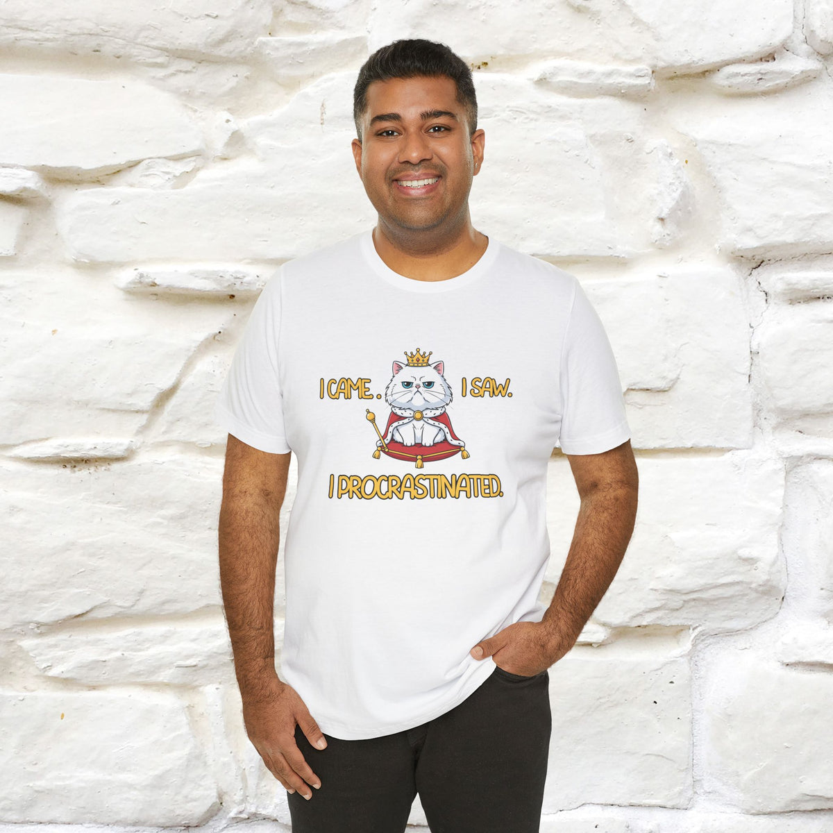 ''“I came. I saw. I procrastinated.''| Funny T-Shirt | Nunu&Miao Studio