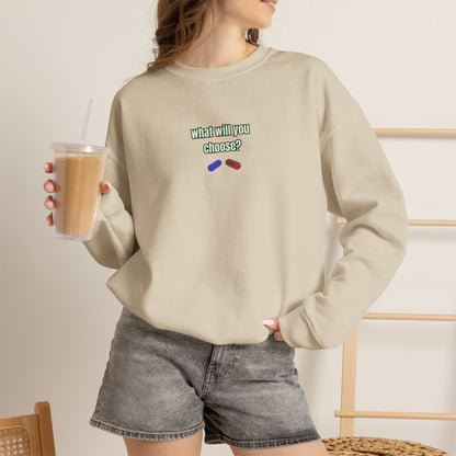 "The Catrix'' |Cat Sweatshirt | Nunu&Miao Studio