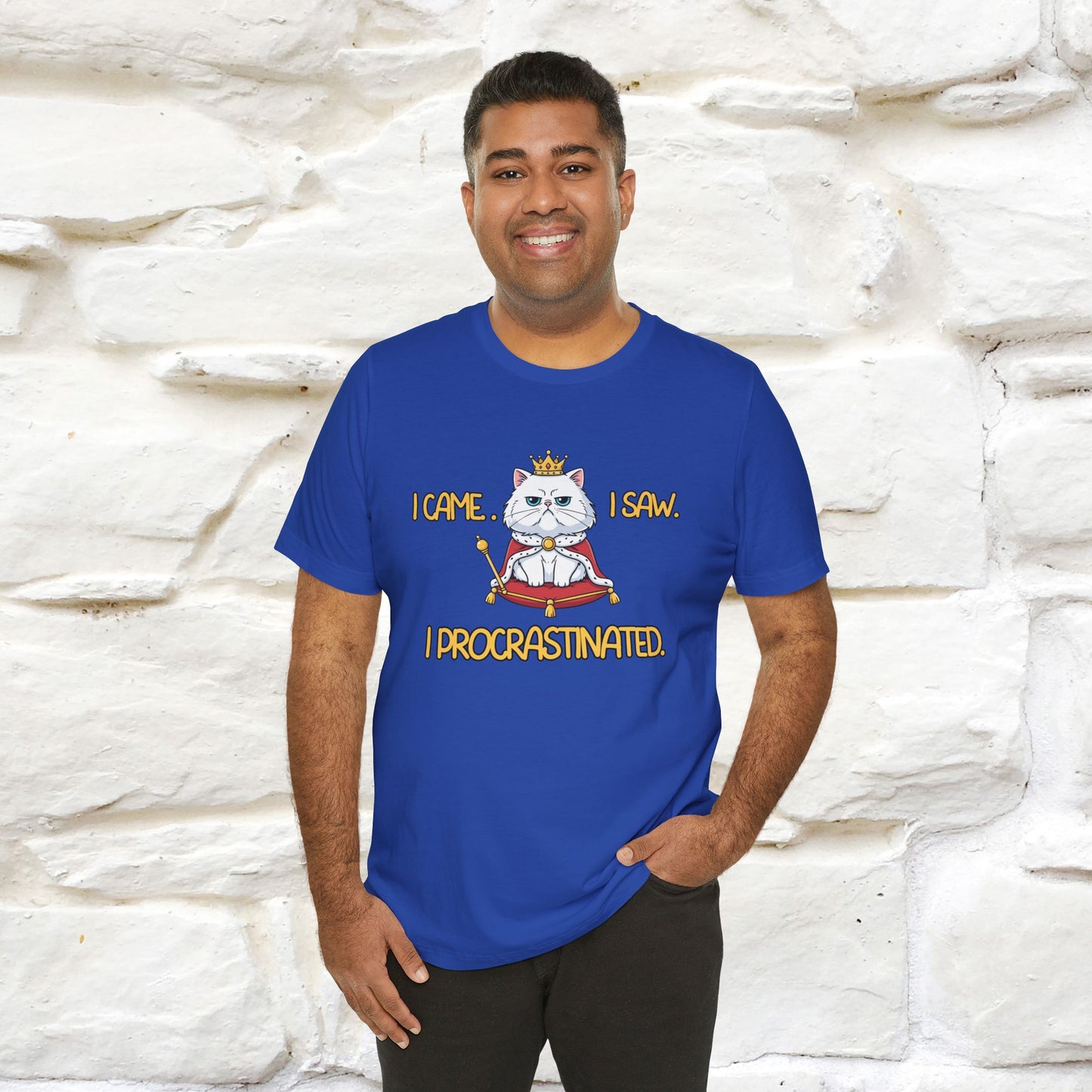 ''I came. I saw. I procrastinated.''| Funny T-Shirt | Nunu&Miao Studio