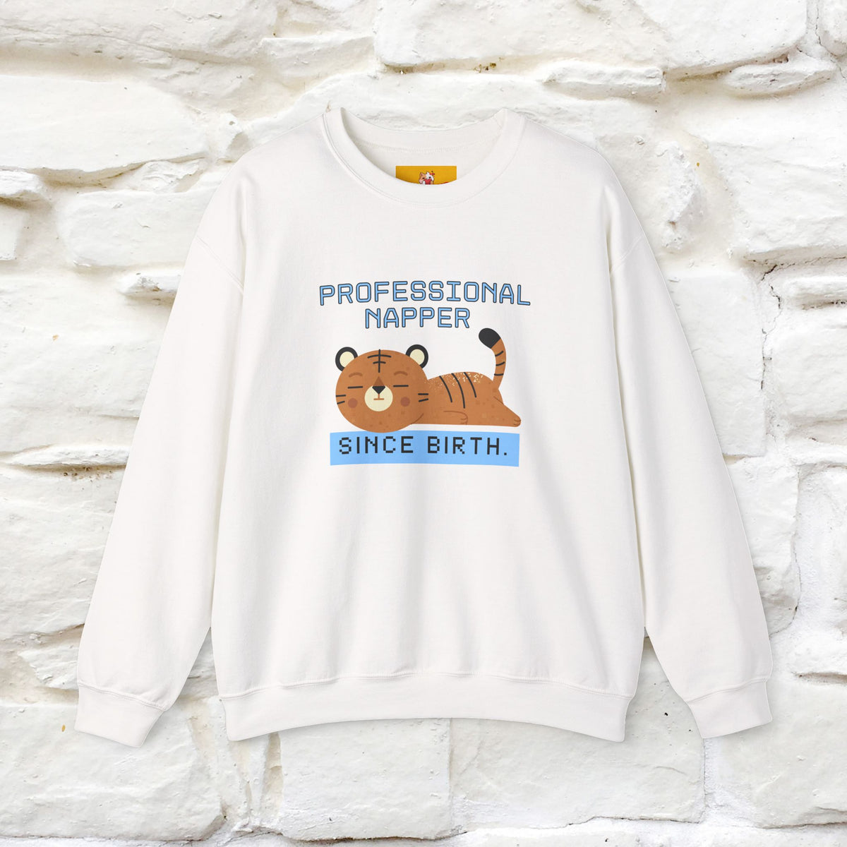 ''Professional Napper Since Birth'' |Cat Sweatshirt | Nunu&Miao Studio