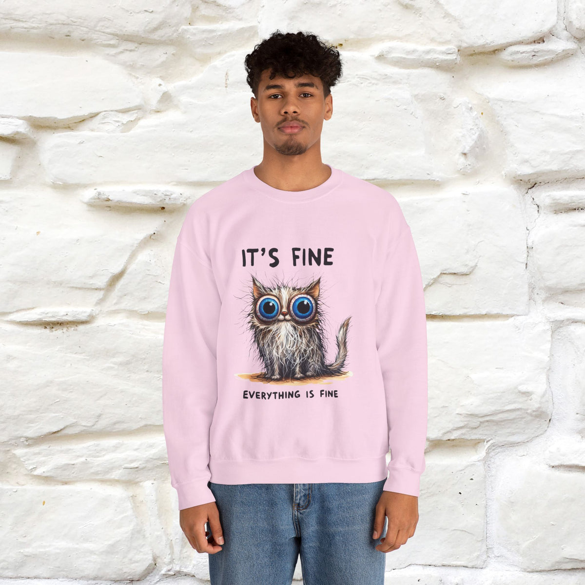 "It's Fine'' |Cat Sweatshirt | Nunu&Miao Studio