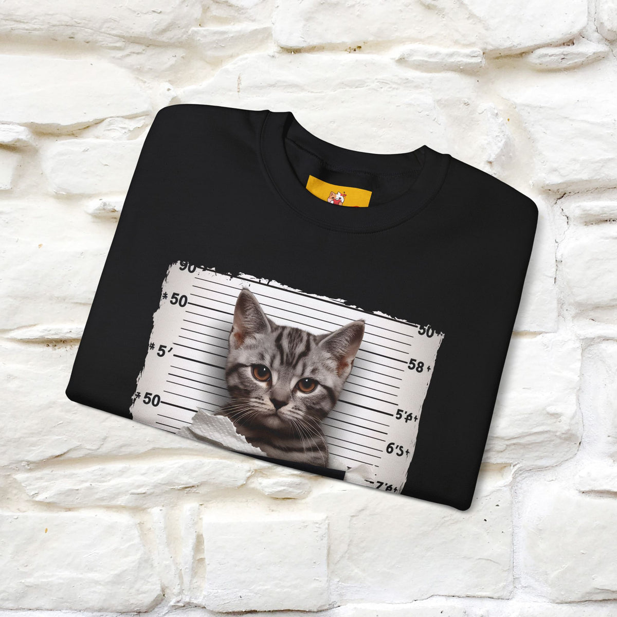 "I Tore The Toilet Paper.'' |Cat Sweatshirt | Nunu&Miao Studio