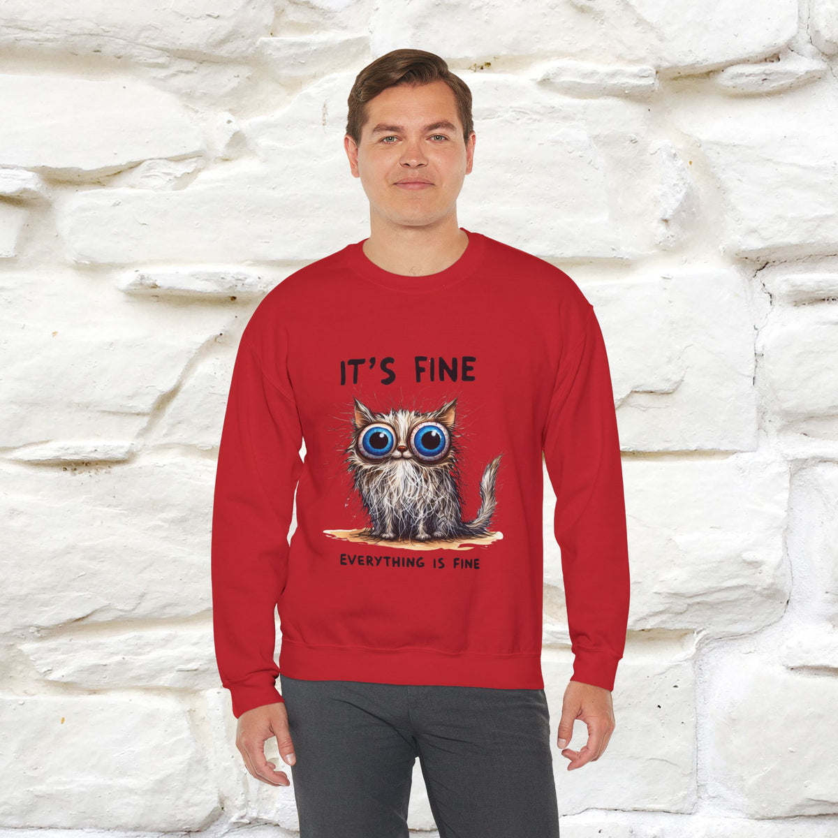 "It's Fine'' |Cat Sweatshirt | Nunu&Miao Studio