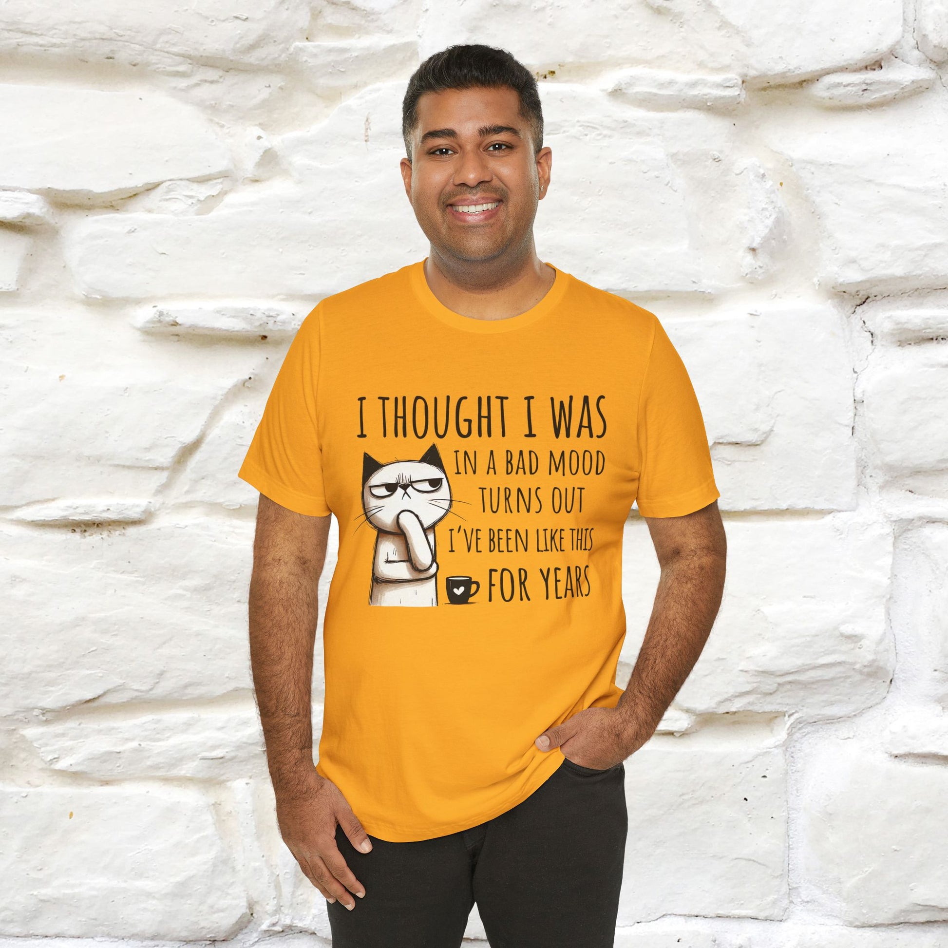 "I Thought I was In A Bad Mood.. " Cat  T-shirt |Nunu&Miao Studio - Nunu&Miao Studio