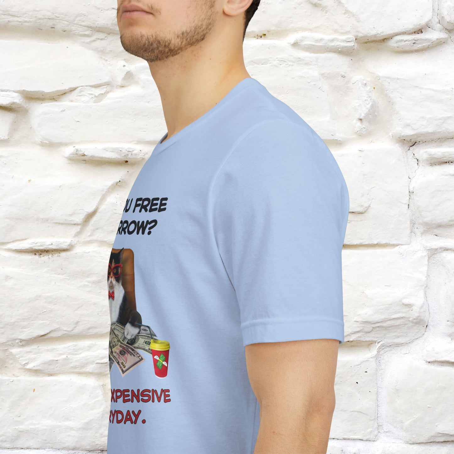 “Are You Fee Tomorrow?” | Cat T-Shirt | Nunu&Miao Studio