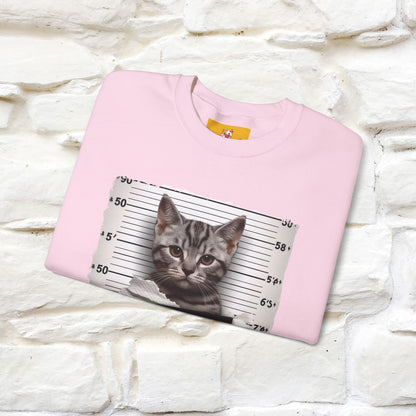 "I Tore The Toilet Paper.'' |Cat Sweatshirt | Nunu&Miao Studio