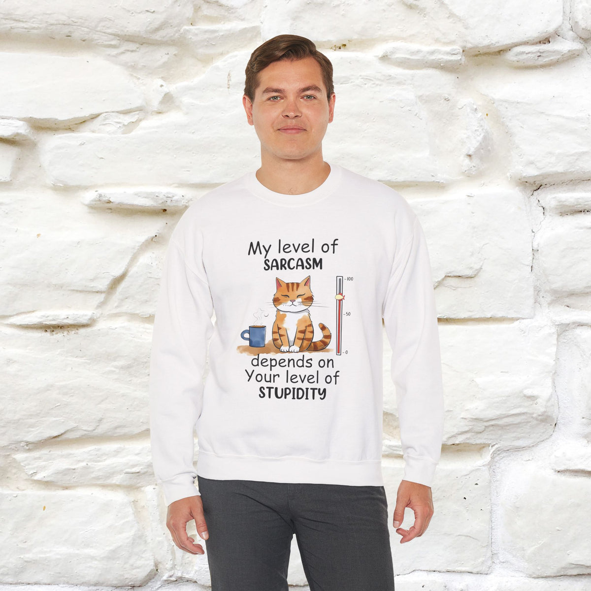 "My Level Of Sarcasm...'' |Cat Sweatshirt | Nunu&Miao Studio
