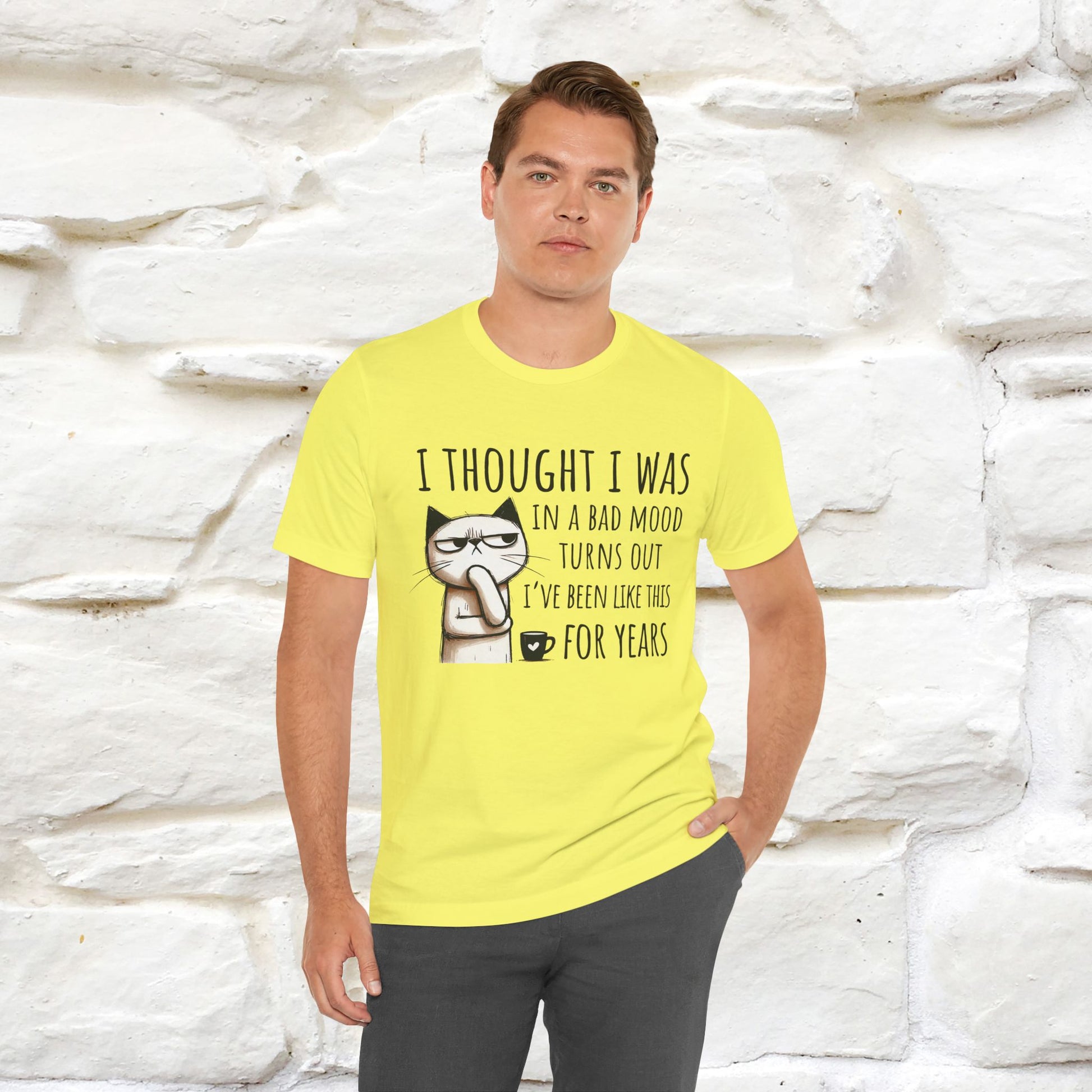 "I Thought I was In A Bad Mood.. " Cat  T-shirt |Nunu&Miao Studio - Nunu&Miao Studio