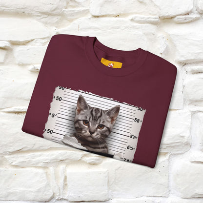 "I Tore The Toilet Paper.'' |Cat Sweatshirt | Nunu&Miao Studio