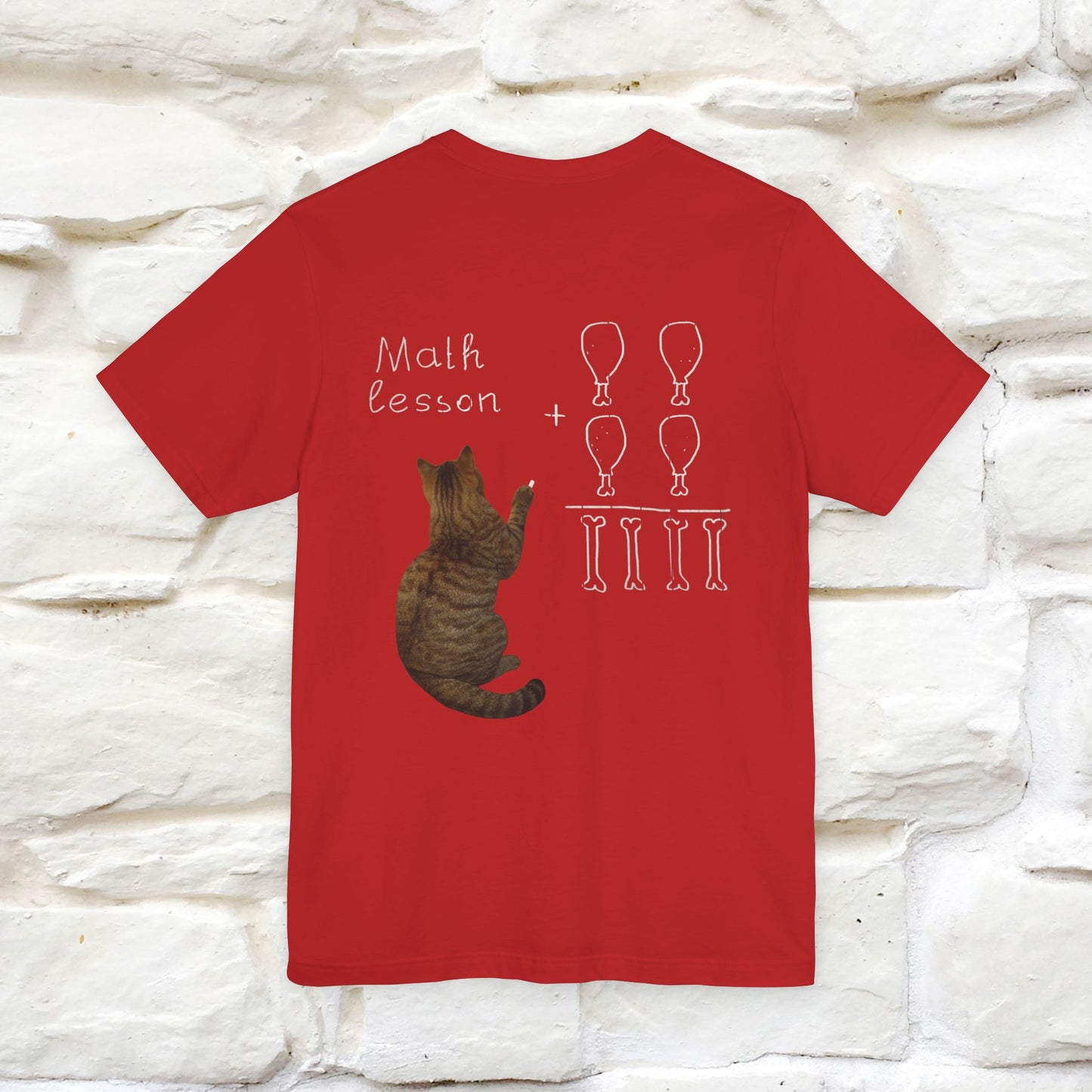 “Math teachers have too many functions.”|  Cat T-Shirt | Front & Back Design | Nunu&Miao Studio