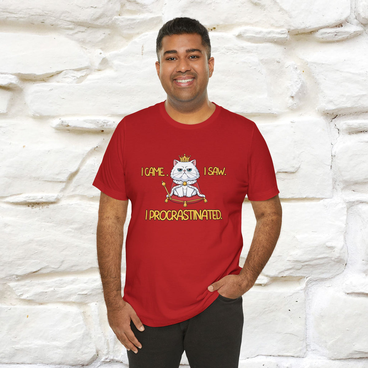 ''“I came. I saw. I procrastinated.''| Funny T-Shirt | Nunu&Miao Studio
