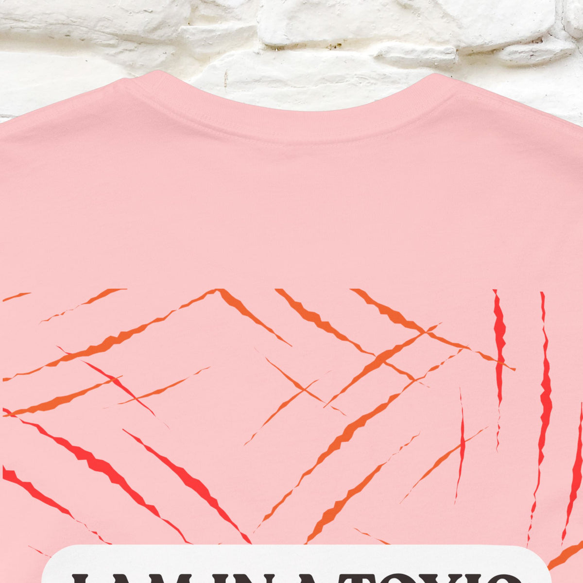 "“I Am in a Toxic Relationship"  Funny Cat T-Shirt | Front & Back Design | Nunu&Miao Studio