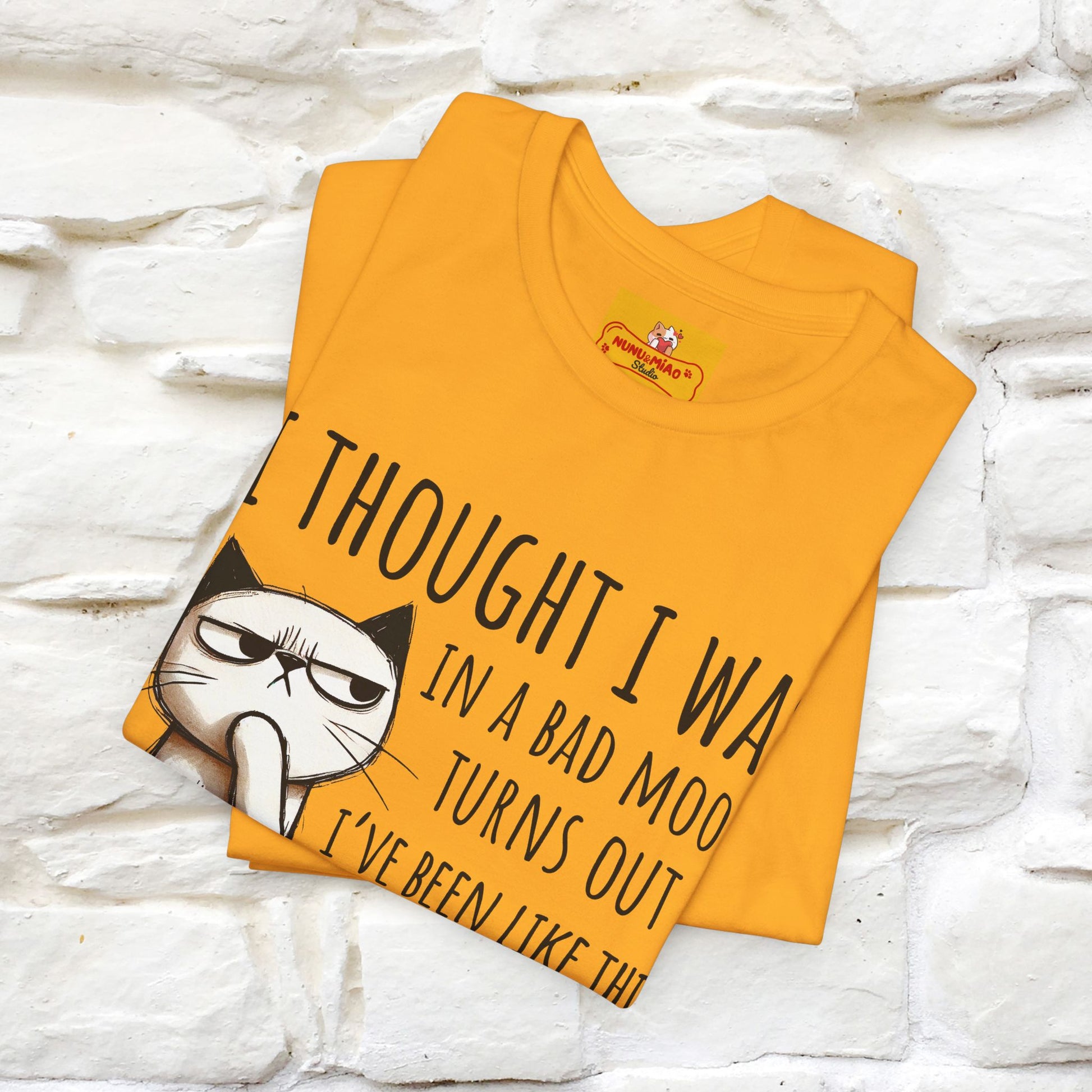 "I Thought I was In A Bad Mood.. " Cat  T-shirt |Nunu&Miao Studio - Nunu&Miao Studio
