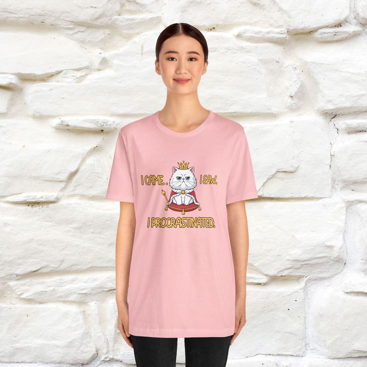 ''“I came. I saw. I procrastinated.''| Funny T-Shirt | Nunu&Miao Studio