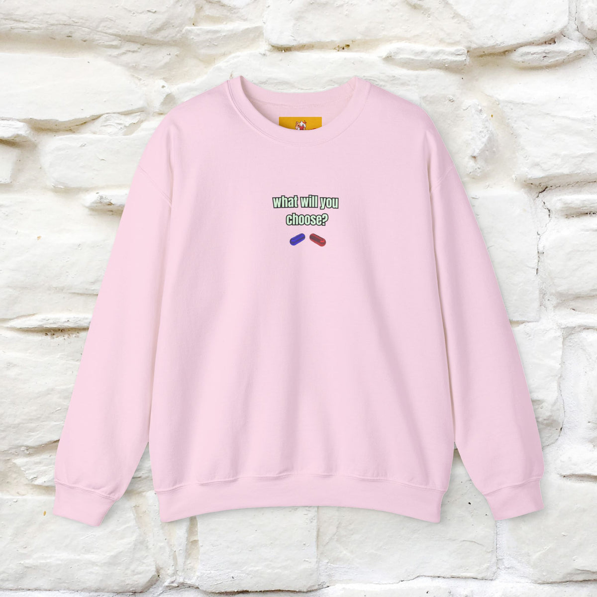 "The Catrix'' |Cat Sweatshirt | Nunu&Miao Studio