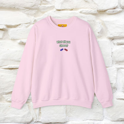 "The Catrix'' |Cat Sweatshirt | Nunu&Miao Studio