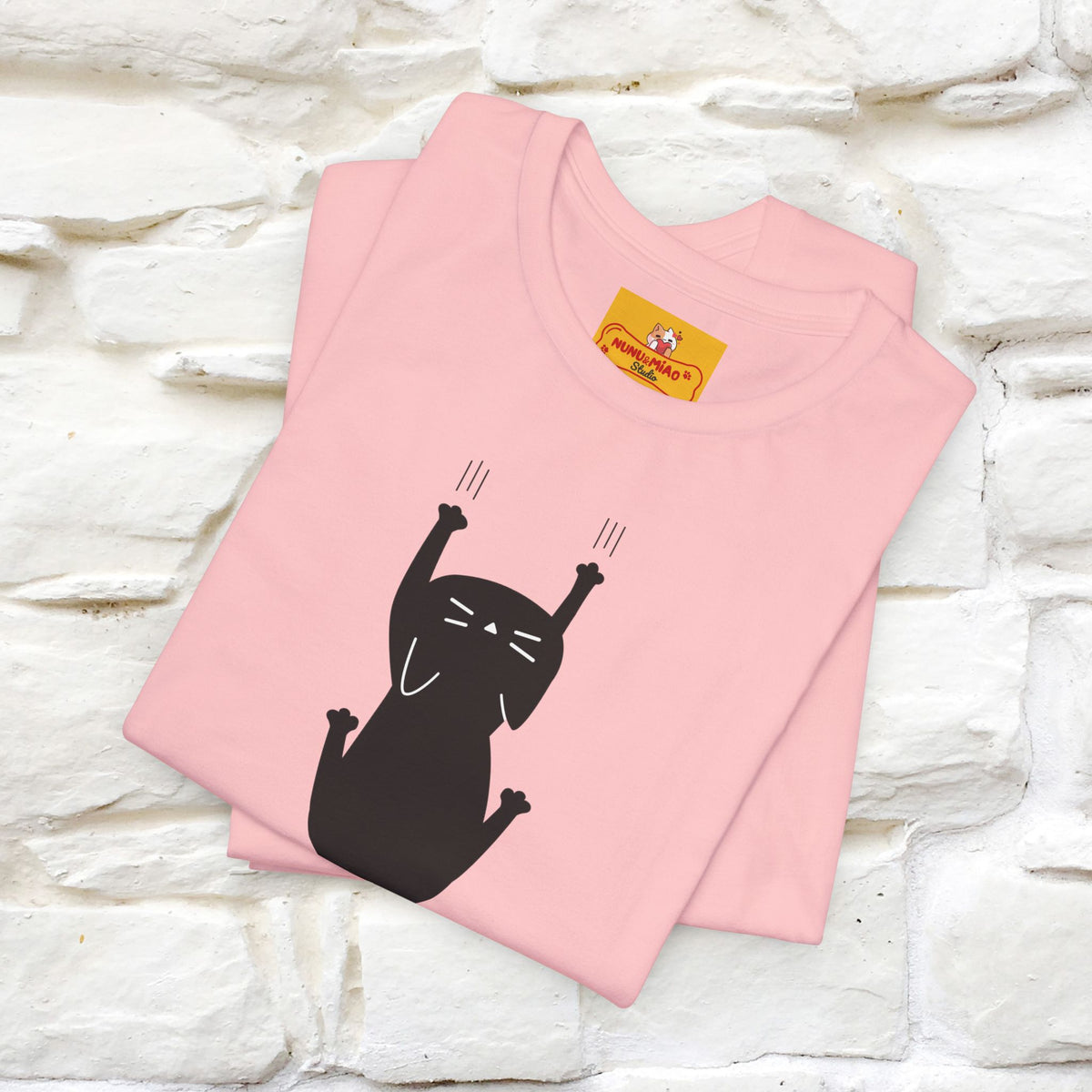 "“I Am in a Toxic Relationship"  Funny Cat T-Shirt | Front & Back Design | Nunu&Miao Studio