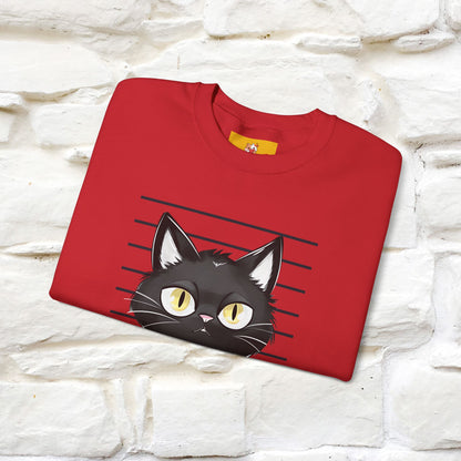 ''Bad Cattitude'' |Cat Sweatshirt | Nunu&Miao Studio