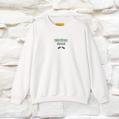 "The Catrix'' |Cat Sweatshirt | Nunu&Miao Studio