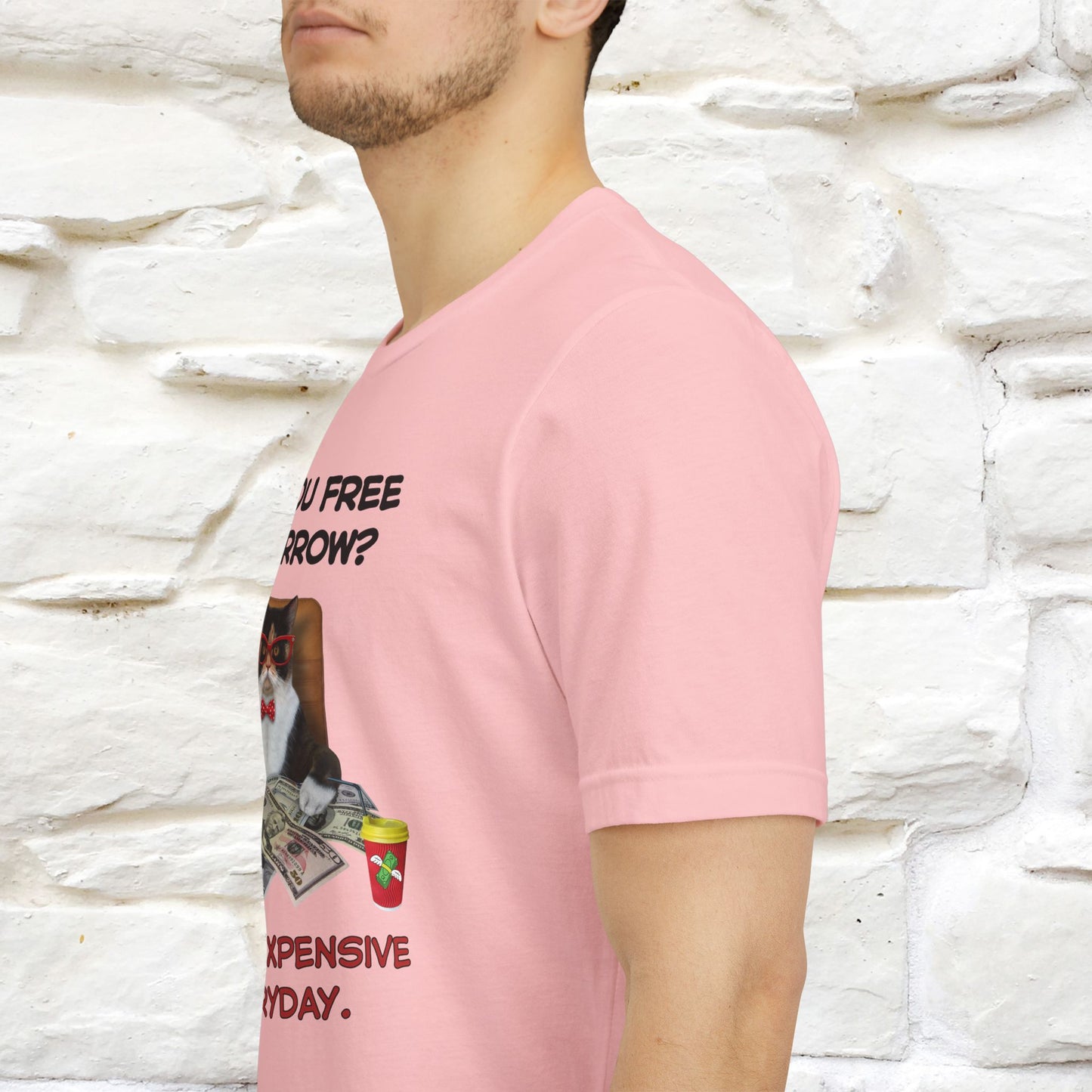 “Are You Fee Tomorrow?” | Cat T-Shirt | Nunu&Miao Studio