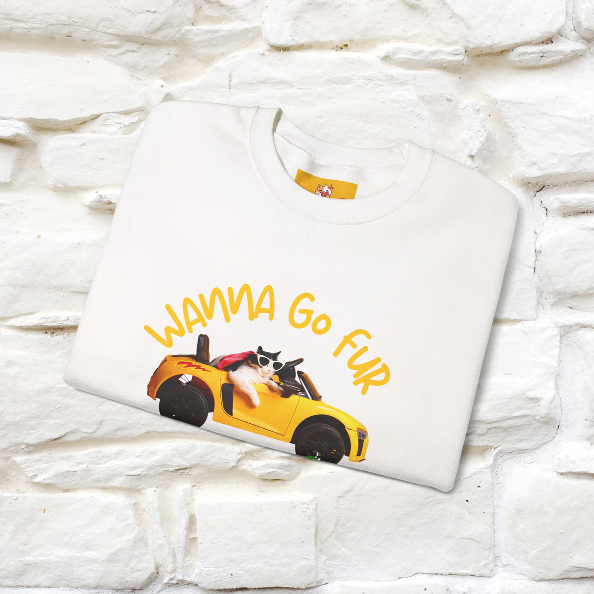 ''Sugar Kitty'' |Cat Sweatshirt | Nunu&Miao Studio