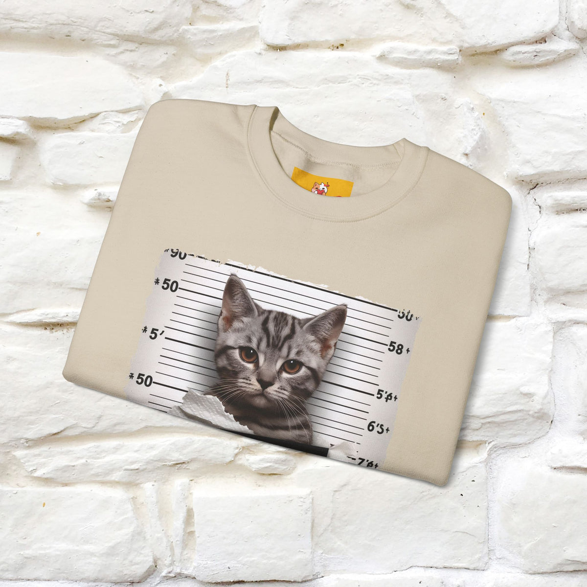 "I Tore The Toilet Paper.'' |Cat Sweatshirt | Nunu&Miao Studio