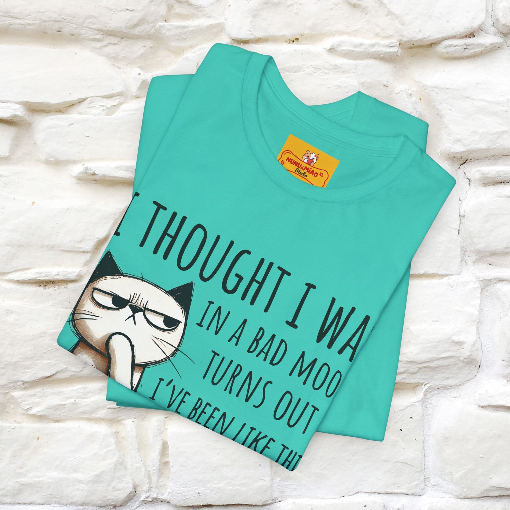 "I Thought I was In A Bad Mood.. " Cat  T-shirt |Nunu&Miao Studio - Nunu&Miao Studio