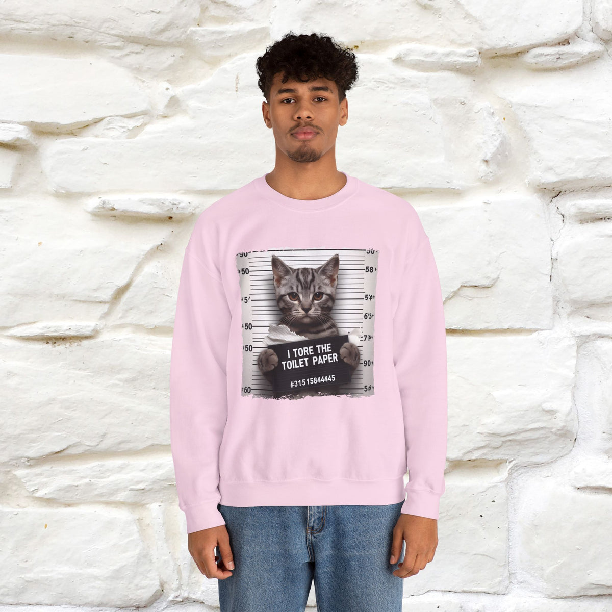 "I Tore The Toilet Paper.'' |Cat Sweatshirt | Nunu&Miao Studio