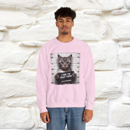 "I Tore The Toilet Paper.'' |Cat Sweatshirt | Nunu&Miao Studio