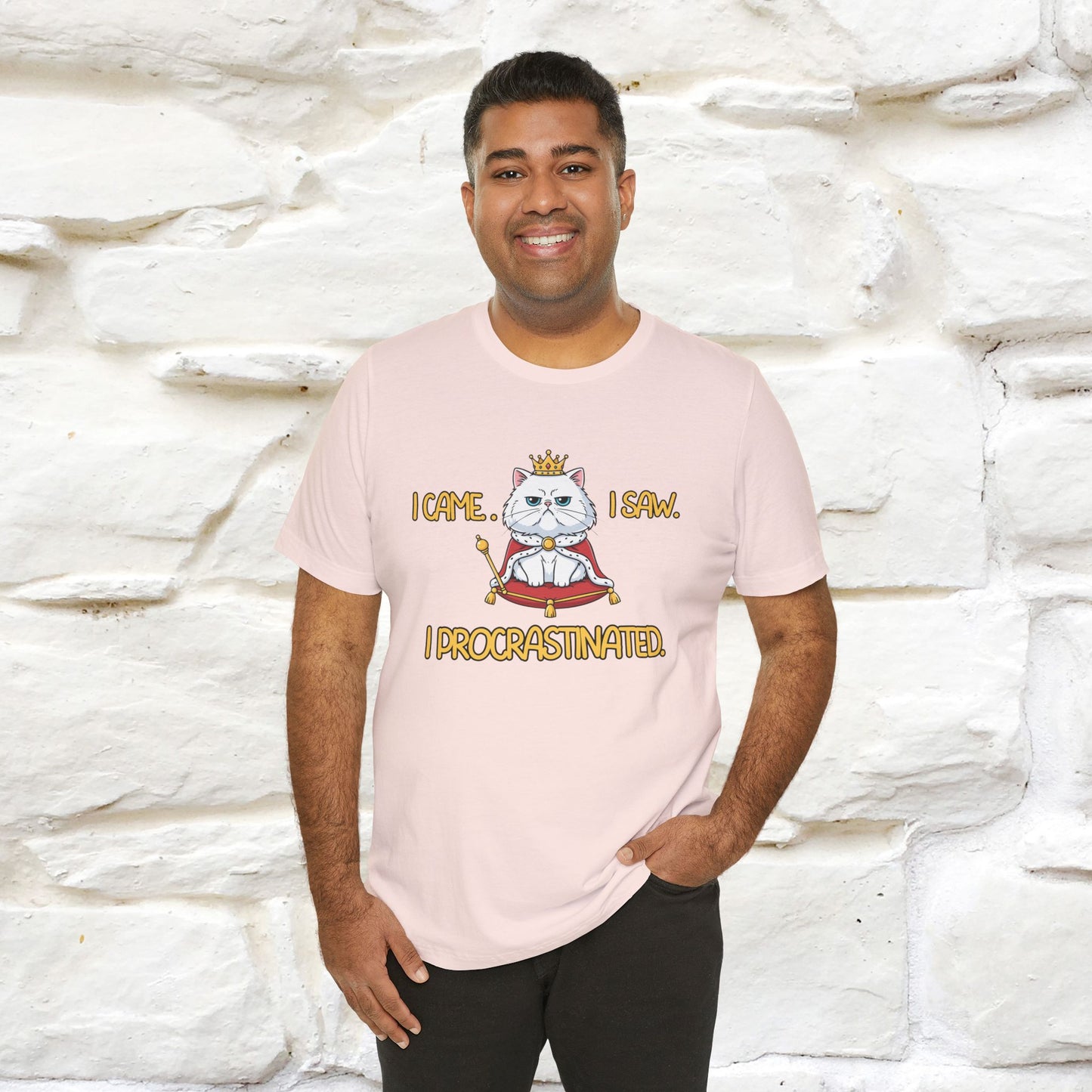 ''I came. I saw. I procrastinated.''| Funny T-Shirt | Nunu&Miao Studio