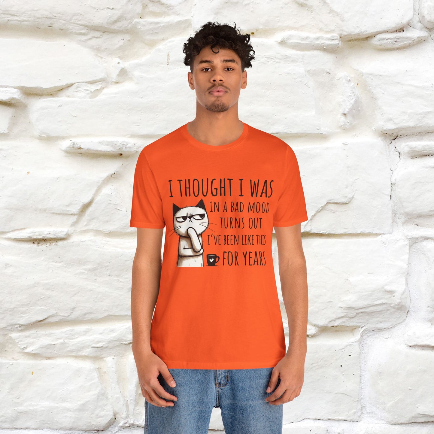 "I Thought I was In A Bad Mood.. " Cat  T-shirt |Nunu&Miao Studio - Nunu&Miao Studio