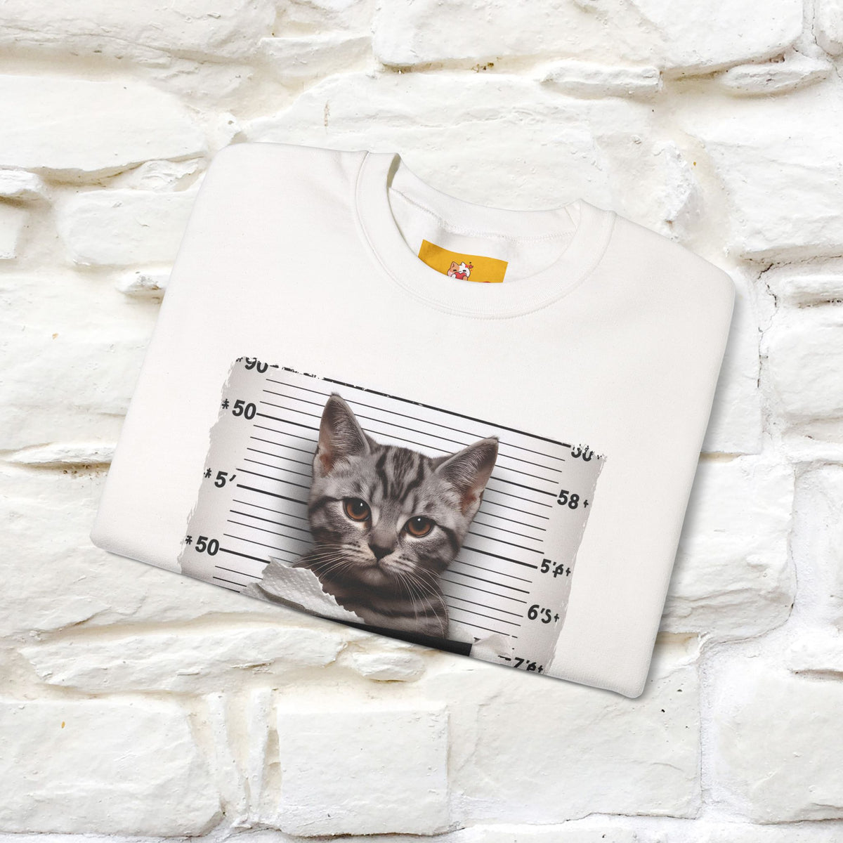 "I Tore The Toilet Paper.'' |Cat Sweatshirt | Nunu&Miao Studio