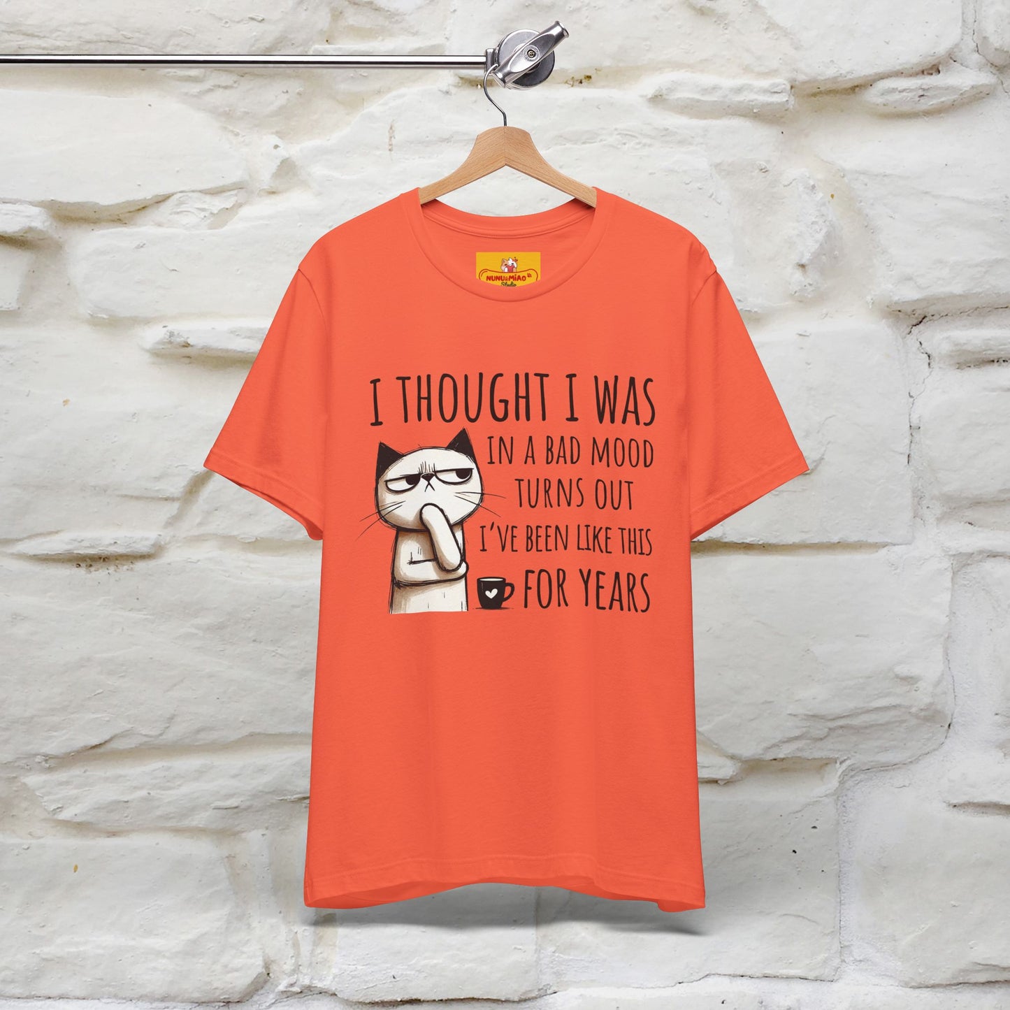 "I Thought I was In A Bad Mood.. " Cat  T-shirt |Nunu&Miao Studio - Nunu&Miao Studio
