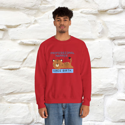 ''Professional Napper Since Birth'' |Cat Sweatshirt | Nunu&Miao Studio