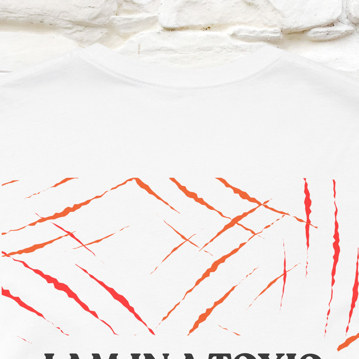 "“I Am in a Toxic Relationship"  Funny Cat T-Shirt | Front & Back Design | Nunu&Miao Studio